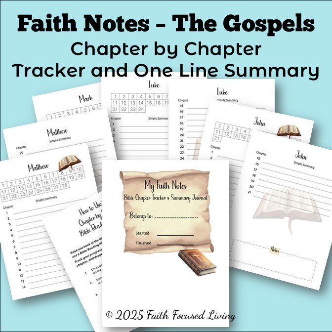 Faith Notes Bible Reading Tracker - the Gospels